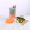 Vegetable preservation box, plastic transparent storage container, multi-functional kitchen refrigerator, preservation container, creative mold, cross-border details Picture
